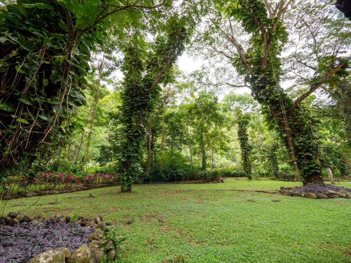 Villa Lapas Jungle Village Tárcoles Exterior foto